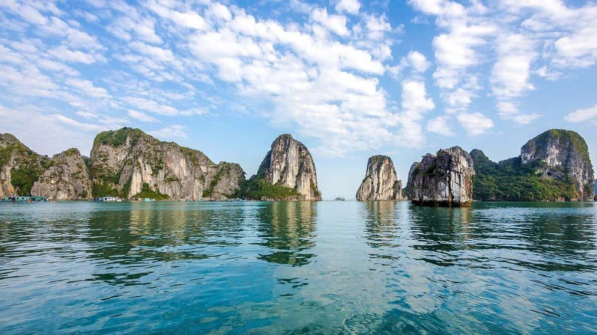 Hạ Long